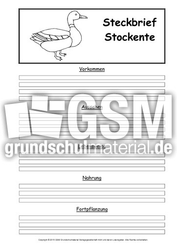 Steckbriefvorlage-Stockente.pdf